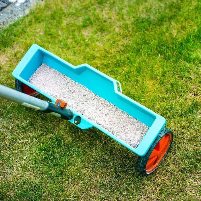 Trustworthy Background