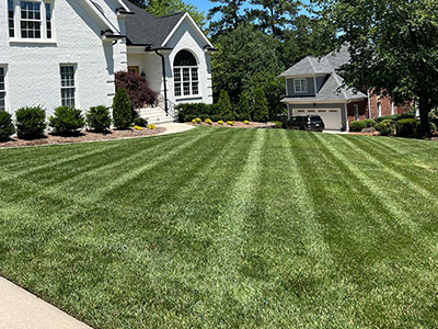 How Often Should You Mow Your Lawn in Clayton, NC?